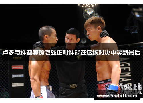 卢多与维迪奥顿激战正酣谁能在这场对决中笑到最后